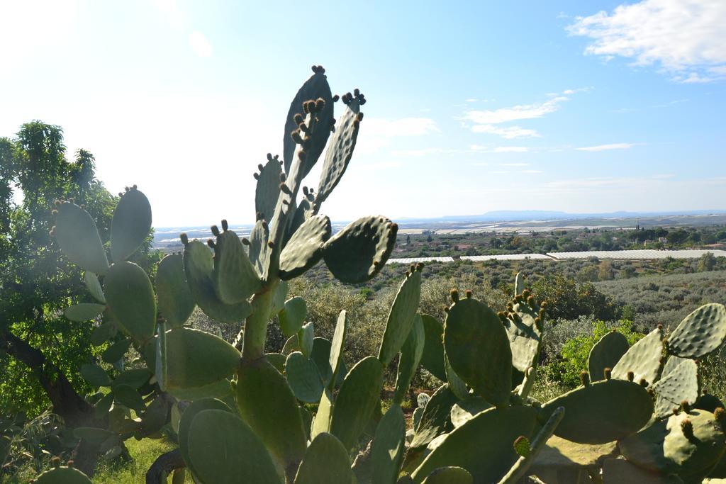 Ronnavona Casa Vacanze B&B Chiaramonte Gulfi Exterior foto
